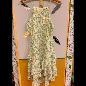 Banana Republic Ruffle Dress, size 6 PETITE, New!